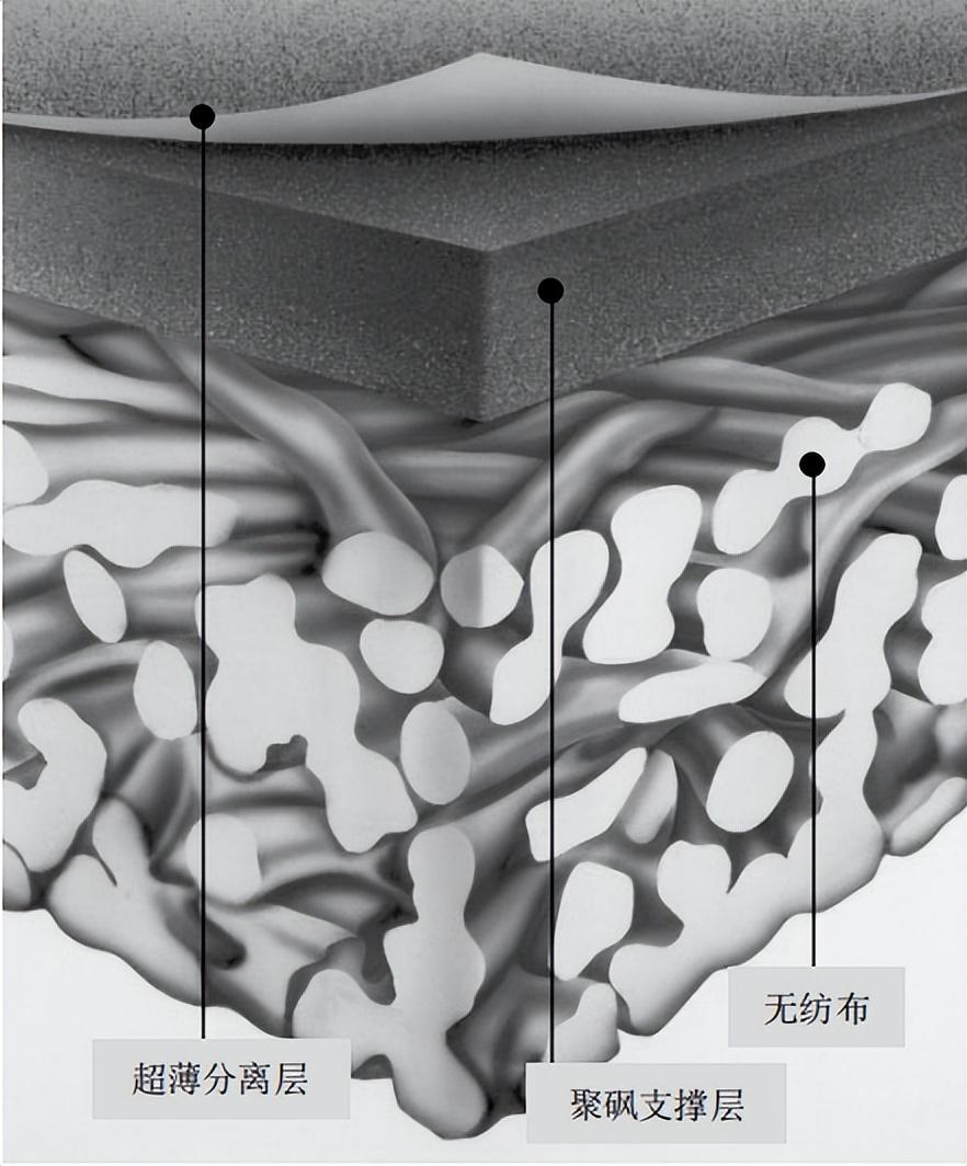 从反渗透膜对不同溶质的脱除率，联想到反渗透膜的分离机制(图2)