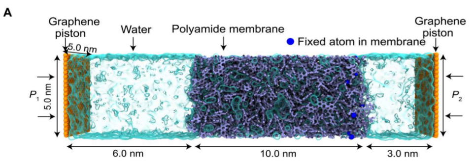 从反渗透膜对不同溶质的脱除率，联想到反渗透膜的分离机制(图5)