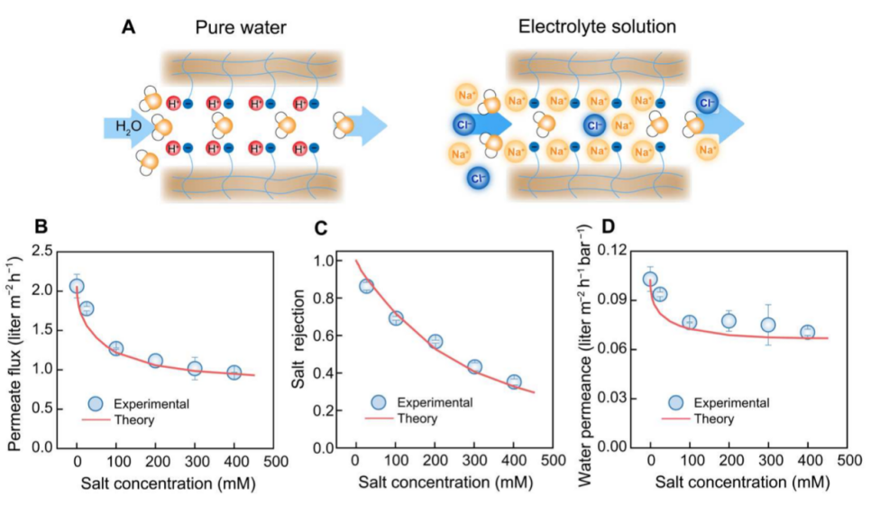 从反渗透膜对不同溶质的脱除率，联想到反渗透膜的分离机制(图6)